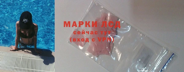 сатива Магадан