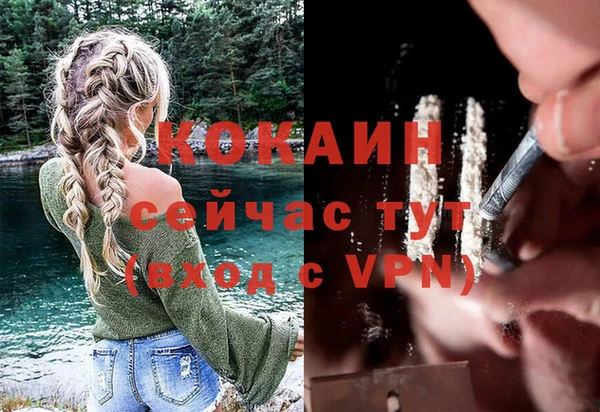 сатива Магадан