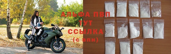 сатива Магадан