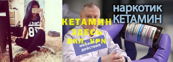 сатива Магадан